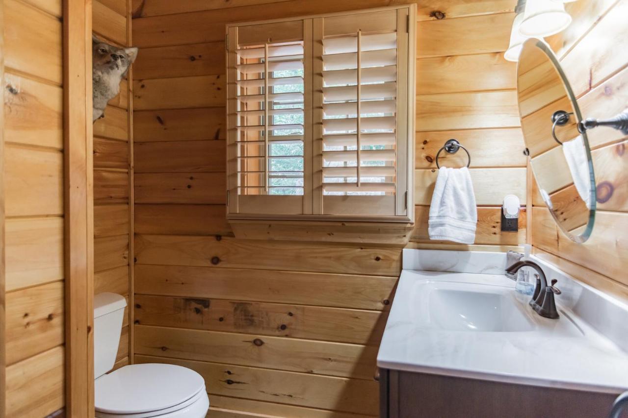 Iron Mountain Lodge - Beautiful Cabin With Forest & Mountain Views! Butler Ngoại thất bức ảnh